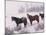 Domestic Horses, in Snow, Colorado, USA-Lynn M. Stone-Mounted Photographic Print