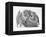 Domestic Kitten (Felis Catus) Next to Bunny, Domestic Rabbit-Jane Burton-Framed Premier Image Canvas