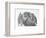 Domestic Kitten (Felis Catus) Next to Bunny, Domestic Rabbit-Jane Burton-Framed Premium Photographic Print