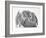 Domestic Kitten (Felis Catus) Next to Bunny, Domestic Rabbit-Jane Burton-Framed Photographic Print