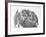 Domestic Kitten (Felis Catus) Next to Bunny, Domestic Rabbit-Jane Burton-Framed Photographic Print