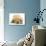 Domestic Labrador Puppy (Canis Familiaris) Sleeping-Jane Burton-Photographic Print displayed on a wall