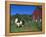 Domestic Llama, on Farm, Vermont, USA-Lynn M. Stone-Framed Premier Image Canvas