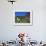 Domestic Llama, on Farm, Vermont, USA-Lynn M. Stone-Framed Photographic Print displayed on a wall