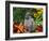 Domestic Netherland Dwarf Rabbit Amongst Vegetables, USA-Lynn M. Stone-Framed Photographic Print