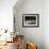 Domestic Pig, Huellhorst, Germany-Thorsten Milse-Framed Photographic Print displayed on a wall