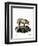 Domestic Pig-null-Framed Giclee Print