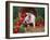 Domestic Piglet, Amongst Vegetables, USA-Lynn M. Stone-Framed Photographic Print