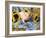 Domestic Piglet and Sunflowers, USA-Lynn M. Stone-Framed Photographic Print