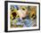 Domestic Piglet and Sunflowers, USA-Lynn M. Stone-Framed Photographic Print