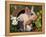 Domestic Piglet in Barrel, Mixed-Breed-Lynn M. Stone-Framed Premier Image Canvas