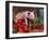 Domestic Piglet, in Bucket with Apples, Mixed Breed, USA-Lynn M. Stone-Framed Photographic Print