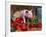 Domestic Piglet, in Bucket with Apples, Mixed Breed, USA-Lynn M. Stone-Framed Photographic Print