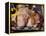 Domestic Piglets Sleeping, USA-Lynn M. Stone-Framed Premier Image Canvas