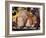 Domestic Piglets Sleeping, USA-Lynn M. Stone-Framed Photographic Print