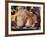 Domestic Piglets Sleeping, USA-Lynn M. Stone-Framed Photographic Print