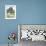 Domestic Sheep, Fair Isle, Shetland Islands, Scotland, United Kingdom, Europe-Andrew Stewart-Framed Photographic Print displayed on a wall