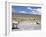 Domesticated Alpacas Grazing on Altiplano, Near Arequipa, Peru, South America-Tony Waltham-Framed Photographic Print