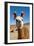 Domesticated Llama, Argentina-null-Framed Photographic Print