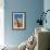 Domesticated Llama, Argentina-null-Framed Photographic Print displayed on a wall