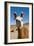 Domesticated Llama, Argentina-null-Framed Photographic Print