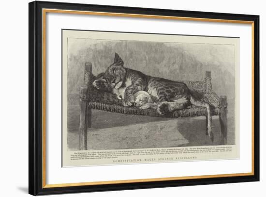 Domestication Makes Strange Bedfellows-null-Framed Giclee Print