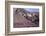 Domeyko Mountains, Called Rainbow Valley, Atacama Desert, Chile-Mallorie Ostrowitz-Framed Photographic Print