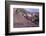 Domeyko Mountains, Called Rainbow Valley, Atacama Desert, Chile-Mallorie Ostrowitz-Framed Photographic Print