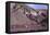 Domeyko Mountains, Called Rainbow Valley, Atacama Desert, Chile-Mallorie Ostrowitz-Framed Premier Image Canvas