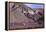 Domeyko Mountains, Called Rainbow Valley, Atacama Desert, Chile-Mallorie Ostrowitz-Framed Premier Image Canvas