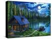 Stretched Canvas Print