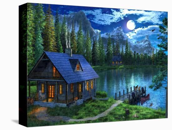 Stretched Canvas Print, , large