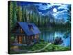 Stretched Canvas Print