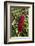 Dominica, Caribbean-Sergio Pitamitz-Framed Photographic Print