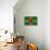 Dominica Flag Design with Wood Patterning - Flags of the World Series-Philippe Hugonnard-Framed Stretched Canvas displayed on a wall