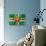 Dominica Flag-daboost-Art Print displayed on a wall