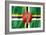 Dominica Flag-daboost-Framed Art Print