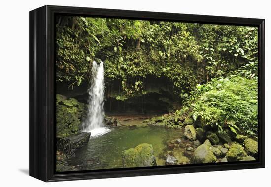 Dominica, Morne Trois Pitons, Tourists Visiting Emerald Pool-Anthony Asael-Framed Premier Image Canvas