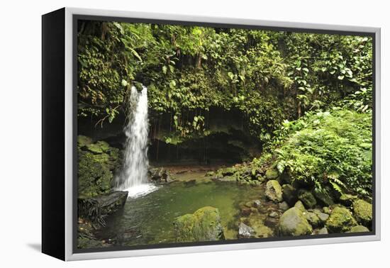 Dominica, Morne Trois Pitons, Tourists Visiting Emerald Pool-Anthony Asael-Framed Premier Image Canvas