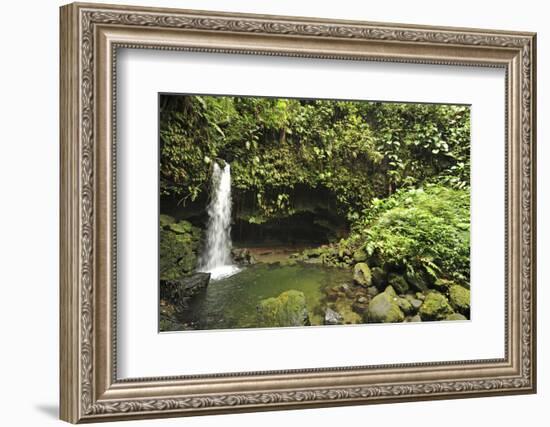 Dominica, Morne Trois Pitons, Tourists Visiting Emerald Pool-Anthony Asael-Framed Photographic Print