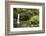 Dominica, Morne Trois Pitons, Tourists Visiting Emerald Pool-Anthony Asael-Framed Photographic Print