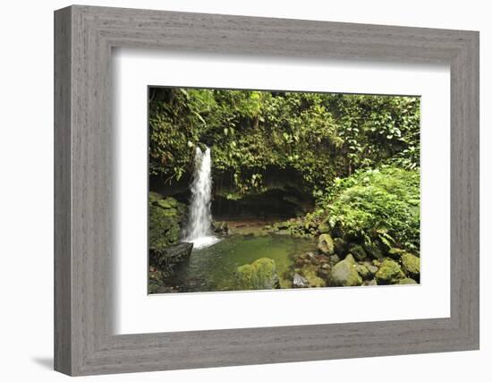 Dominica, Morne Trois Pitons, Tourists Visiting Emerald Pool-Anthony Asael-Framed Photographic Print