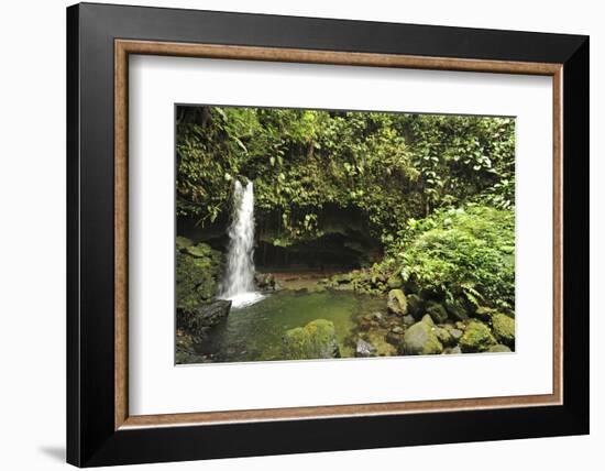 Dominica, Morne Trois Pitons, Tourists Visiting Emerald Pool-Anthony Asael-Framed Photographic Print