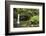 Dominica, Morne Trois Pitons, Tourists Visiting Emerald Pool-Anthony Asael-Framed Photographic Print