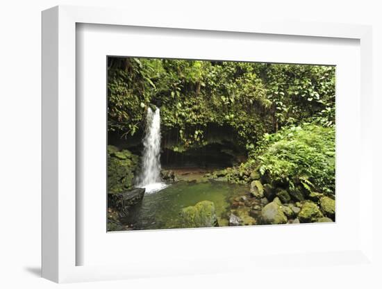 Dominica, Morne Trois Pitons, Tourists Visiting Emerald Pool-Anthony Asael-Framed Photographic Print