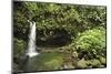 Dominica, Morne Trois Pitons, Tourists Visiting Emerald Pool-Anthony Asael-Mounted Photographic Print