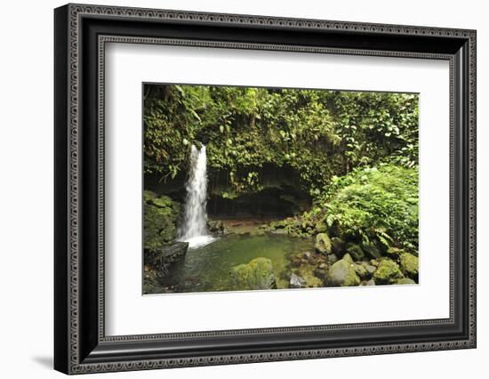 Dominica, Morne Trois Pitons, Tourists Visiting Emerald Pool-Anthony Asael-Framed Photographic Print