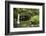 Dominica, Morne Trois Pitons, Tourists Visiting Emerald Pool-Anthony Asael-Framed Photographic Print