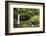 Dominica, Morne Trois Pitons, Tourists Visiting Emerald Pool-Anthony Asael-Framed Photographic Print