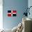Dominican Republic Flag Design with Wood Patterning - Flags of the World Series-Philippe Hugonnard-Premium Giclee Print displayed on a wall